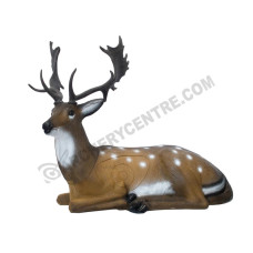 SRT Bedded Fallow Deer